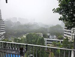 The Interlace (D4), Condominium #500245211